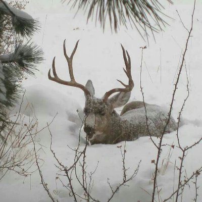 _burnyourwings_'s profile picture. 