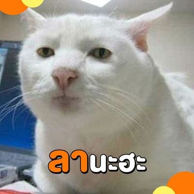 Twilight_naja's profile picture. จำไม่ได้ละก่อนรู้จัก// 👉T R I N I T Y😊 //ชีวิตเป็นไง