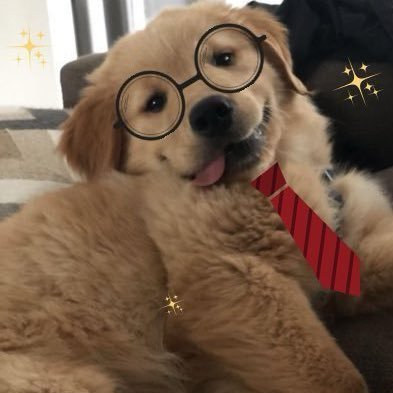 k_kaom's profile picture. ꜰᴀɴ ᴀᴄᴄᴏᴜɴᴛ: ʀᴏꜱé🌹🐿️| ʟɪɴɢʟɪɴɢᴋᴡᴏɴɢ🦮 & ᴏʀᴍᴋᴏʀɴɴᴀᴘʜᴀᴛ🍳 ᴀʙᴜᴄʜɪᴄᴋᴇɴ🐥