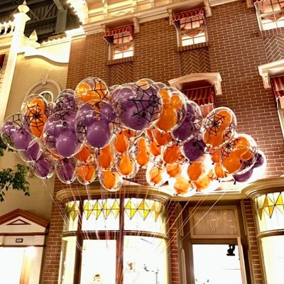 cuokkasan_cos's profile picture. twst💕 時々コスプレします。18↑ ハロウィンの亡霊 SNOWはズッ友 9/23🏰で監督生してました