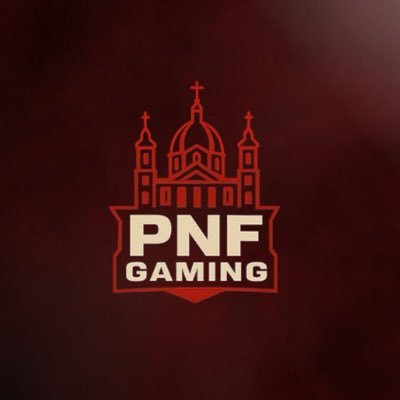 pnfgamingpt's profile picture. 🎮 Equipa de Esports de Penafiel 🇵🇹 ⚔️ A competir na ESEA Open 10 – Season 55