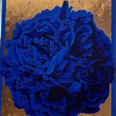 Tireab1hy's profile picture. Commentary