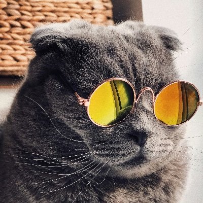 ping5Jay's profile picture. I am one of the fking Human beings.