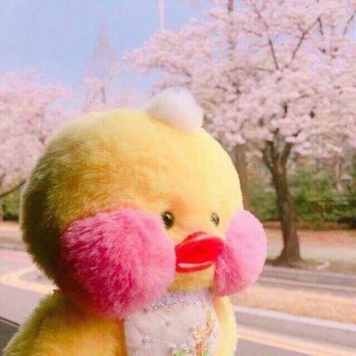 QingDe77026's profile picture. 