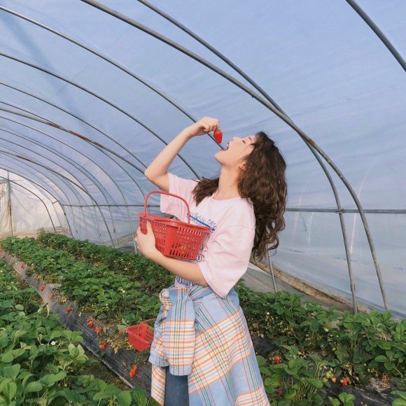 tshutxingm14080's profile picture. 