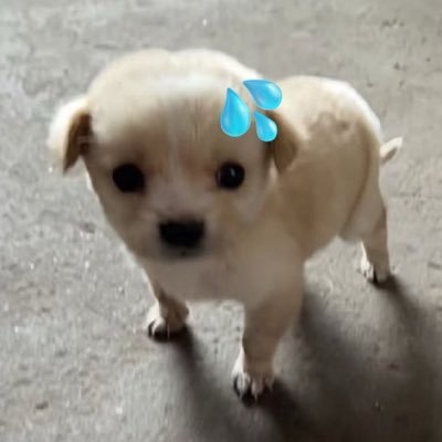 glelsxmfp's profile picture. 