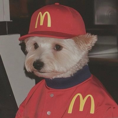 xiaomo02178's profile picture. 175/55/20/m 🉑🪂线下 私信+v： 🚪88 防走丢小号@xiaomo2233358