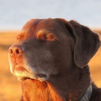 ericspo29's profile picture. Freedom ///
Another life story of 🙄