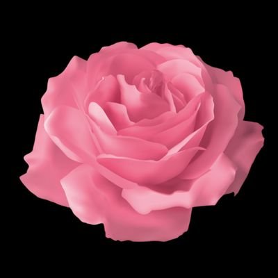 kttnkind's profile picture. flowering | in love