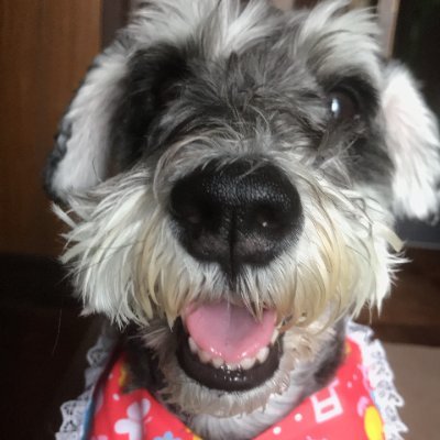 oisjrg's profile picture. 好き→パラドゲー/コレリス(メンシプ)/ノクリス(入門)/かなえ先生
お断り→副業/投資/投機/利殖/宗教/エロ垢/DM
基本的に不寛容な人です
コメント自粛中

基本フォロバ100(例外あり)
　"やぽ"と"おつこれ"を繰り返す垢→〖@korekore19〗〖@korekore_ch〗