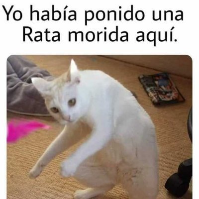 Ilybrew's profile picture. 🇦🇷🇪🇸
SysAdmin
No sé qué poner aquí, así que: patatas fritas con alioli.