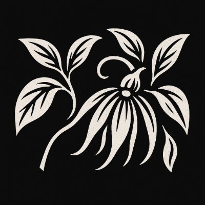 yokoylang49's profile picture. 