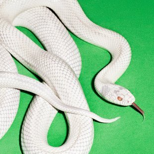 angerh8issues's profile picture. cybersecurity professional.
video games enthusiast
metalhead.
bong.
the biggest scam ever sold is the idea that someone smarter is running things.