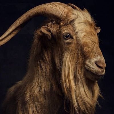 CallmehIfedi's profile picture. peace and love ❤️