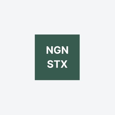 ngnstx's profile picture. For GenZs stashing on the Nigerian Stock Exchange and foreign markets. Crisp media content through the week. Not affiliated with Nigerian Stock Exchange.