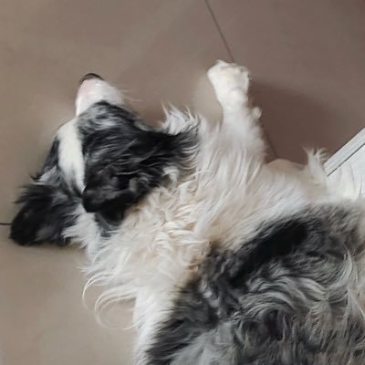 jiuhubuaiqian's profile picture. irys-verify-0xe270ed-jiuhubuaiqian