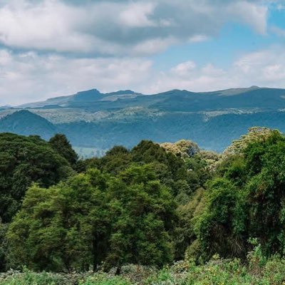 WWedelay3389's profile picture. As a great country, we must, by all means, own our sea entrance. I am willing to make whatever sacrifices are necessary!