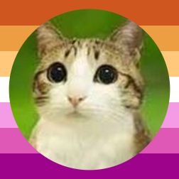 dblcheesebunger's profile picture. dumb girl | minor, any sort of nsfw or rlly suggestive stuff dni | banner by @videoido | I FOLLOW BACK | #diddytuahnation