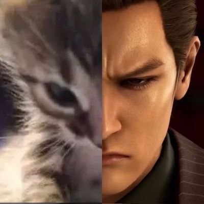 wvEFlvquH1IyODO's profile picture. 