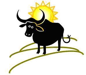 #1 and only produce of fresh and local Buffalo Mozzarella in the US... so far!