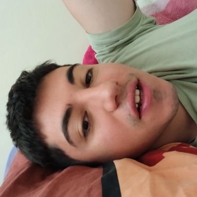 walhors's profile picture. 