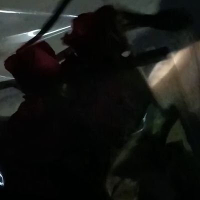 MOOCICAWW's profile picture. 