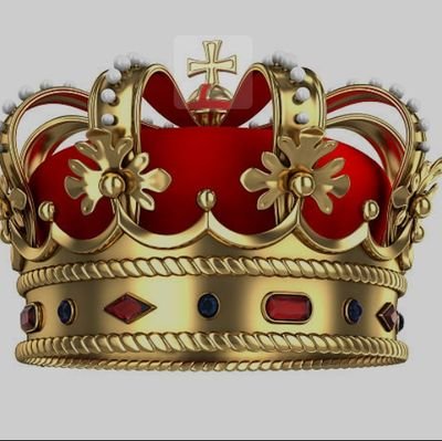 kingsonfx's profile picture. photographer 📸 trader 🚀