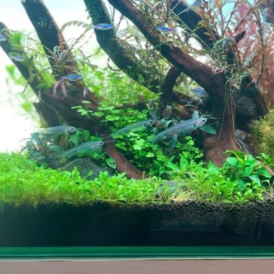 yasaaiage_5101's profile picture. 