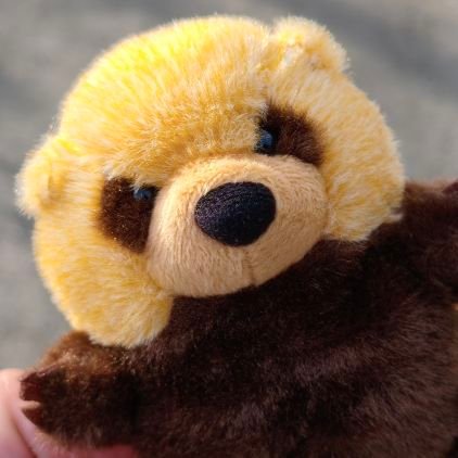 mukai_shaxin's profile picture. 頭コンクリ