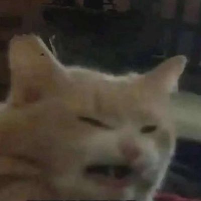 smuckdog's profile picture. 