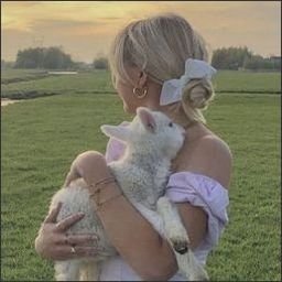 Ylorarrea378's profile picture. 