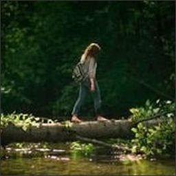 jeaqoo82392's profile picture. 