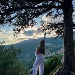 Lievirb5091's profile picture. 