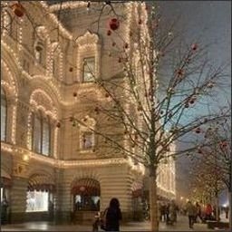 Ozruicooh3794's profile picture. 