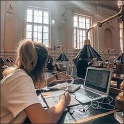 Birsor117756's profile picture. 