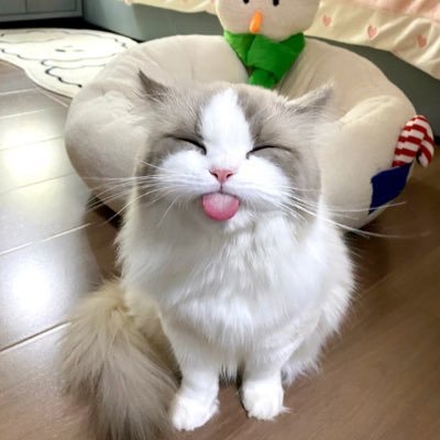 mxqmxq0508's profile picture. 