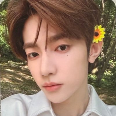zhamghao_o's profile picture. a daisy note in your playlist and your serotonin refresh button. 🌼