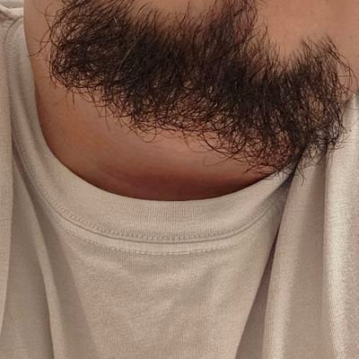 JosueDomin90089's profile picture. 