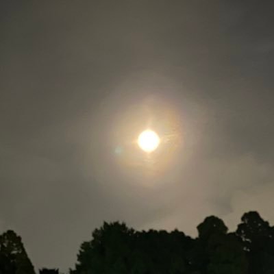 aaaygraft55's profile picture. 