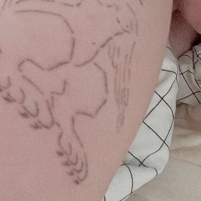 momocclx's profile picture. だいたい外にいる