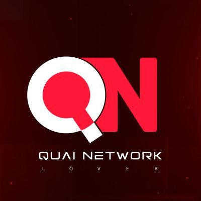 QNLover's profile picture. Quai Network Lover 💚