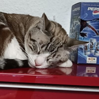 YoSoyTuRoja's profile picture. amante de los animales y las injusticias.