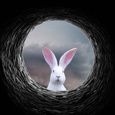 weever_x's profile picture. 