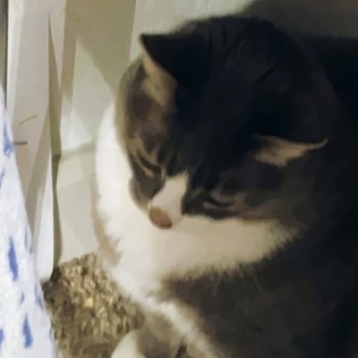 bkong_a's profile picture. its-a-me, bako | private @helenkellerfeet
minor, nsfw and proship do not fucking interact
i have blueblocker (set to mute) on, stop paying elon