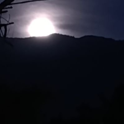 complaciente7's profile picture. 