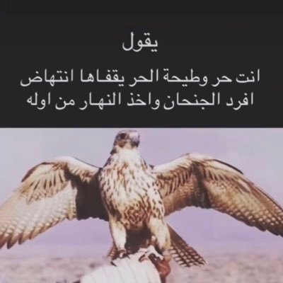 sln1224's profile picture. ما كل الايام بيض وسمحة محيا