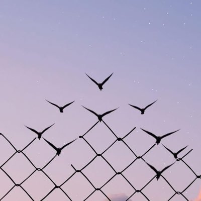 person8800's profile picture.