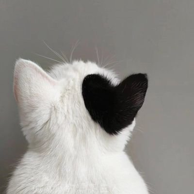 areumndaun's profile picture. I wish I could convey how I feel