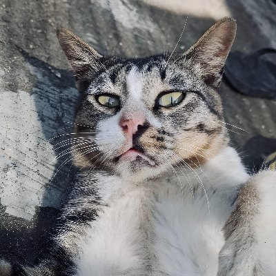 buruh_onar's profile picture. bio nyusul