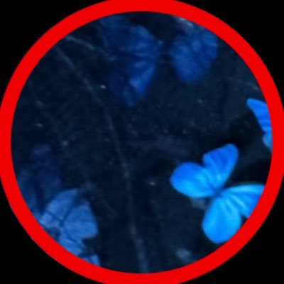 likecrazy_12's profile picture. @SHoNgxBoNgYT 💙❤️ @imaginedragons